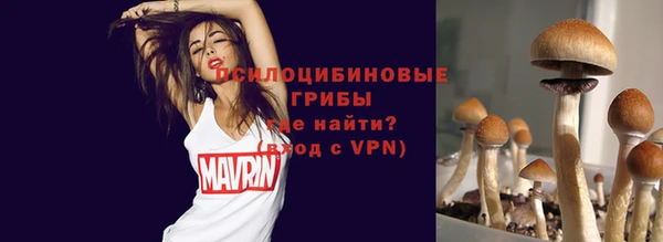 a pvp Каменск-Шахтинский