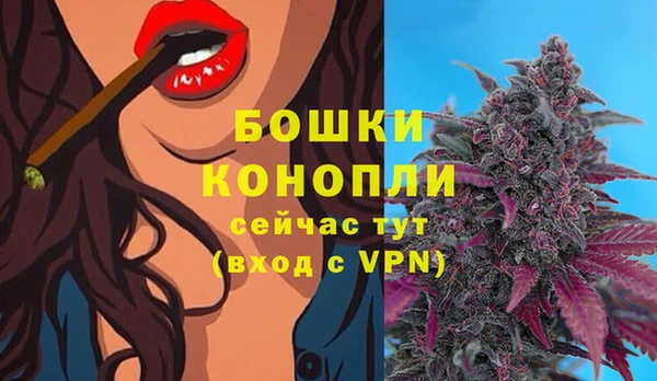 2c-b Каменка