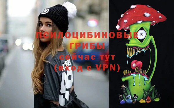 a pvp Каменск-Шахтинский